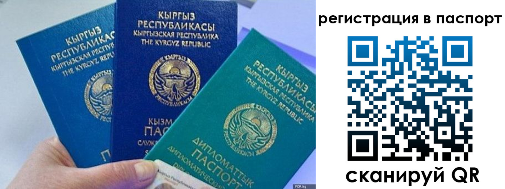 прописка 2025 в Черногорске